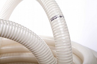 ����� ����