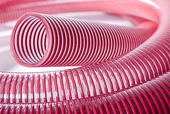 ����� ���� �����